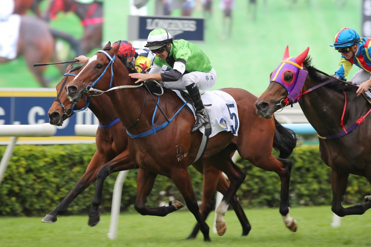Audacious Pursuit (green) wins at Sha Tin in November. Photos: Kenneth Chan