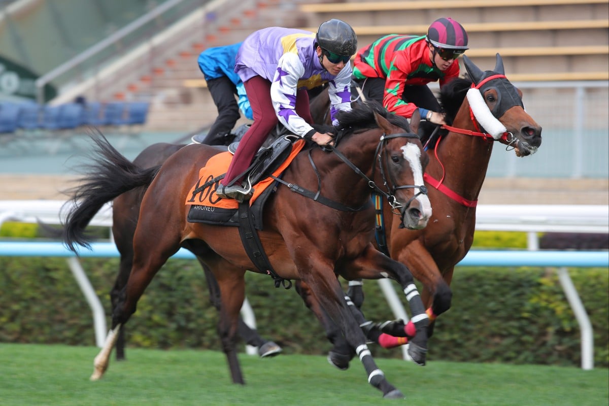 Seraph Gabriel in action in a recent Sha Tin trial. Photos: Kenneth Chan