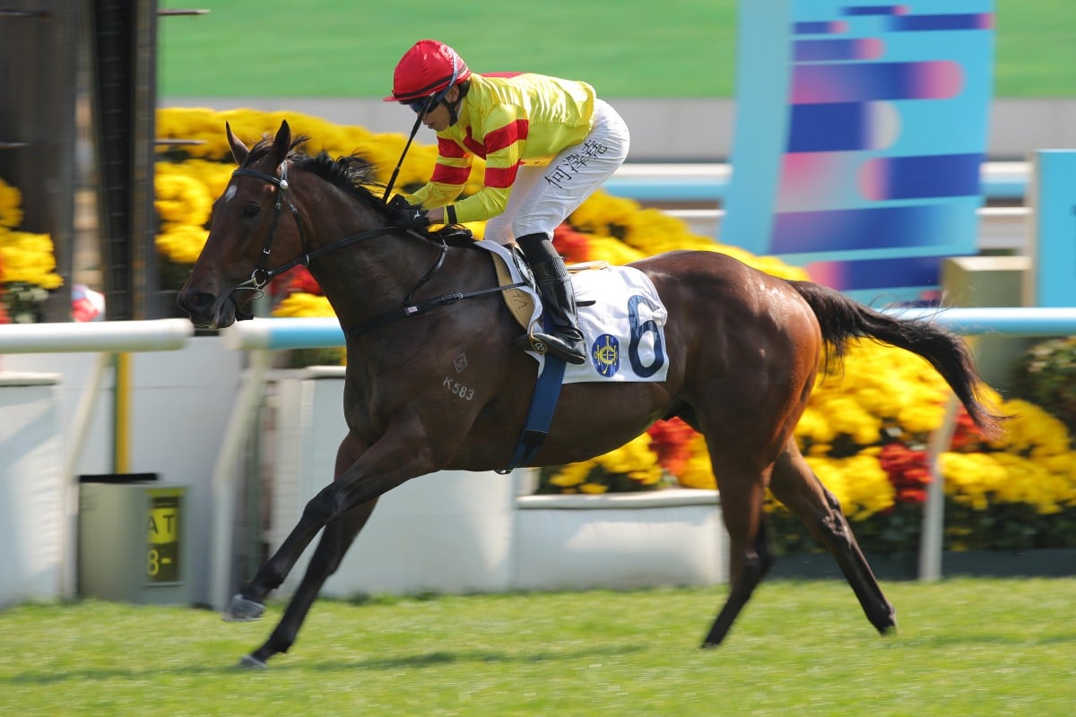 Hot Delight storms home to score on debut under Vincent Ho. Photos: Kenneth Chan