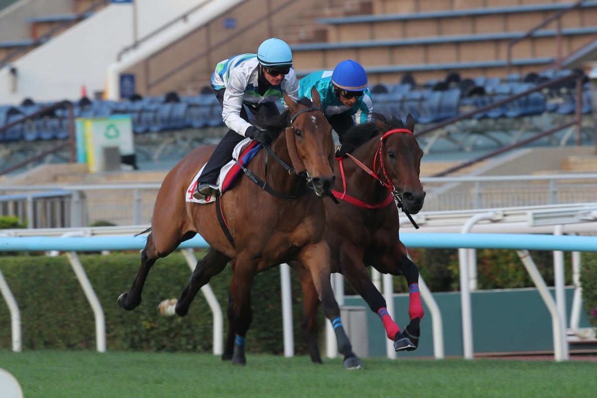Voyage Bubble (left) leads home Romantic Warrior at the Sha Tin trials. Photos: Kenneth Chan