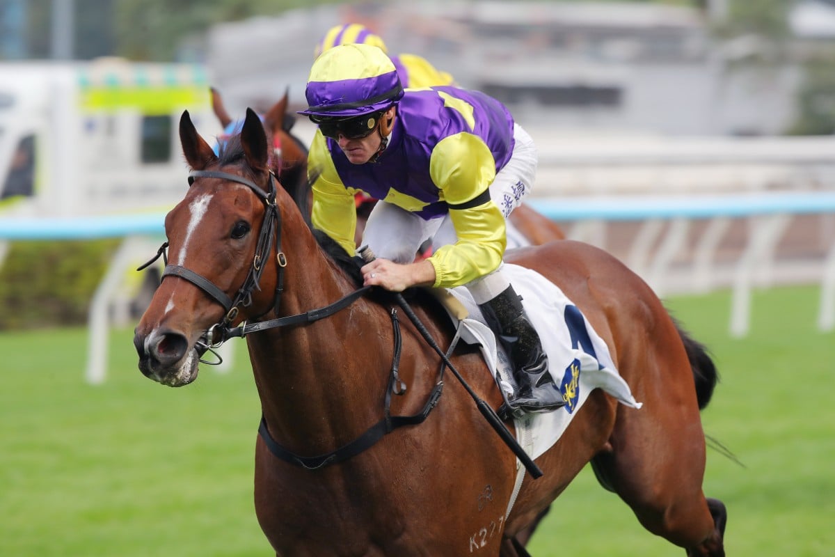 Colourful King bolts in up the Sha Tin straight under Zac Purton in November. Photos: Kenneth Chan