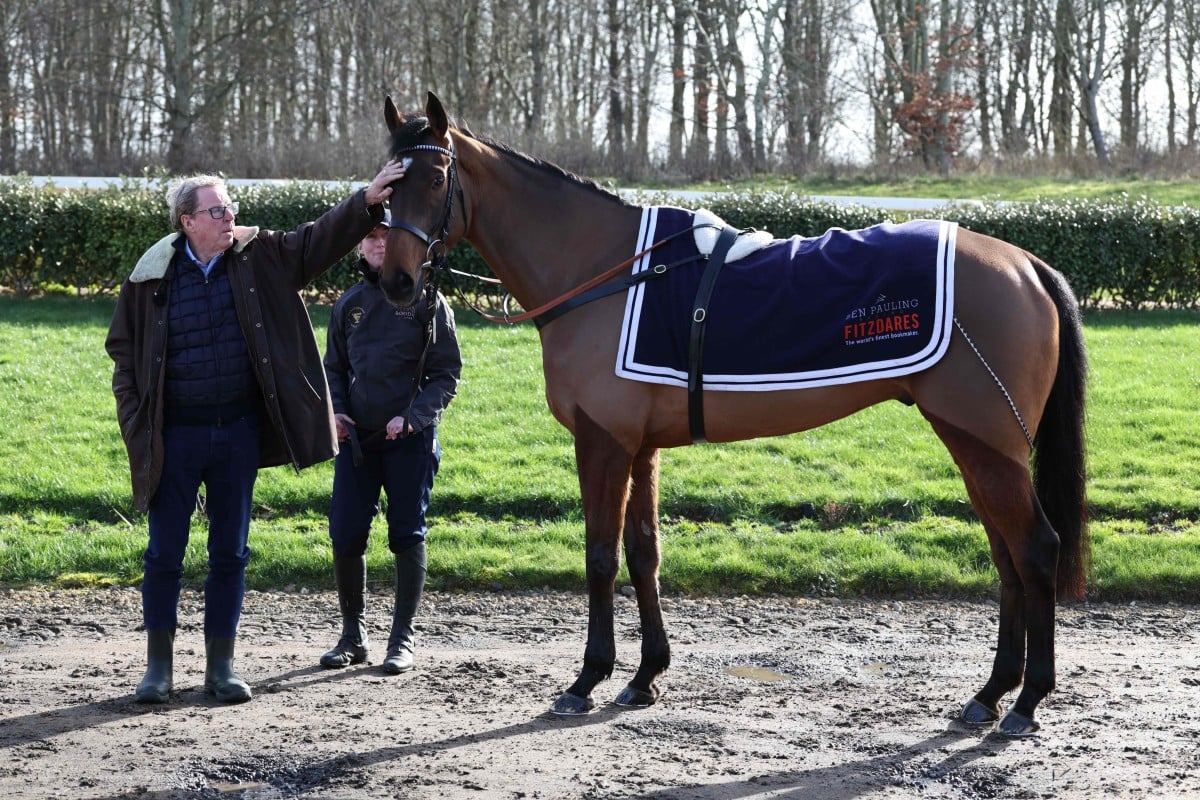 Harry Redknapp and his horse The Jukebox Man, who is vying to be the favourite at the Cheltenham Gold Cup. Photo: AFP
