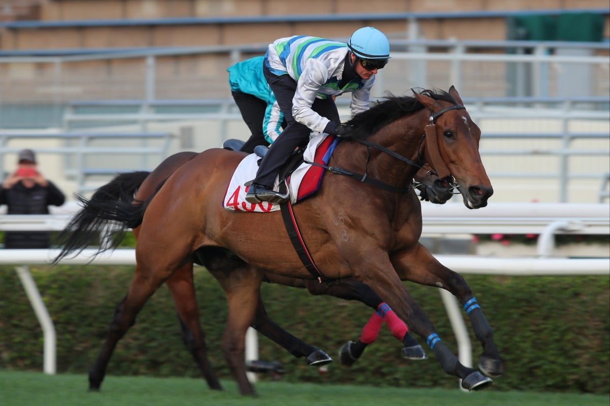 Voyage Bubble fends off Romantic Warrior to win a Sha Tin trial last week. Photos: Kenneth Chan