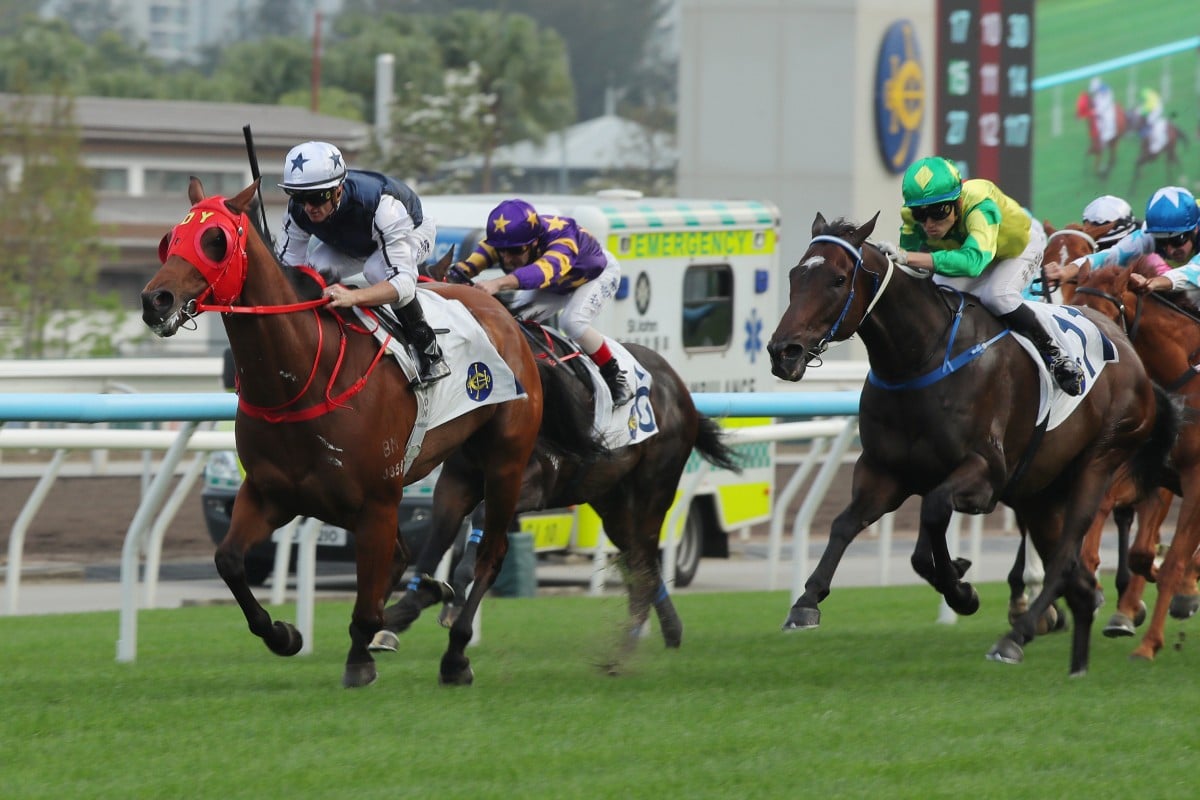 Fast Network runs riot at Sha Tin. Photos: Kenneth Chan