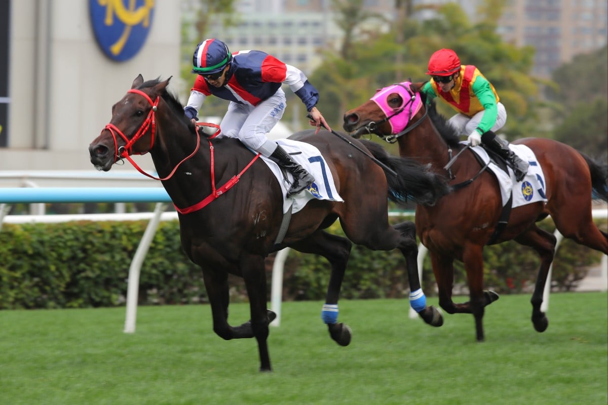 Derek Leung boots home Numbers in last month’s Group Three Centenary Vase at Sha Tin. Photos: Kenneth Chan