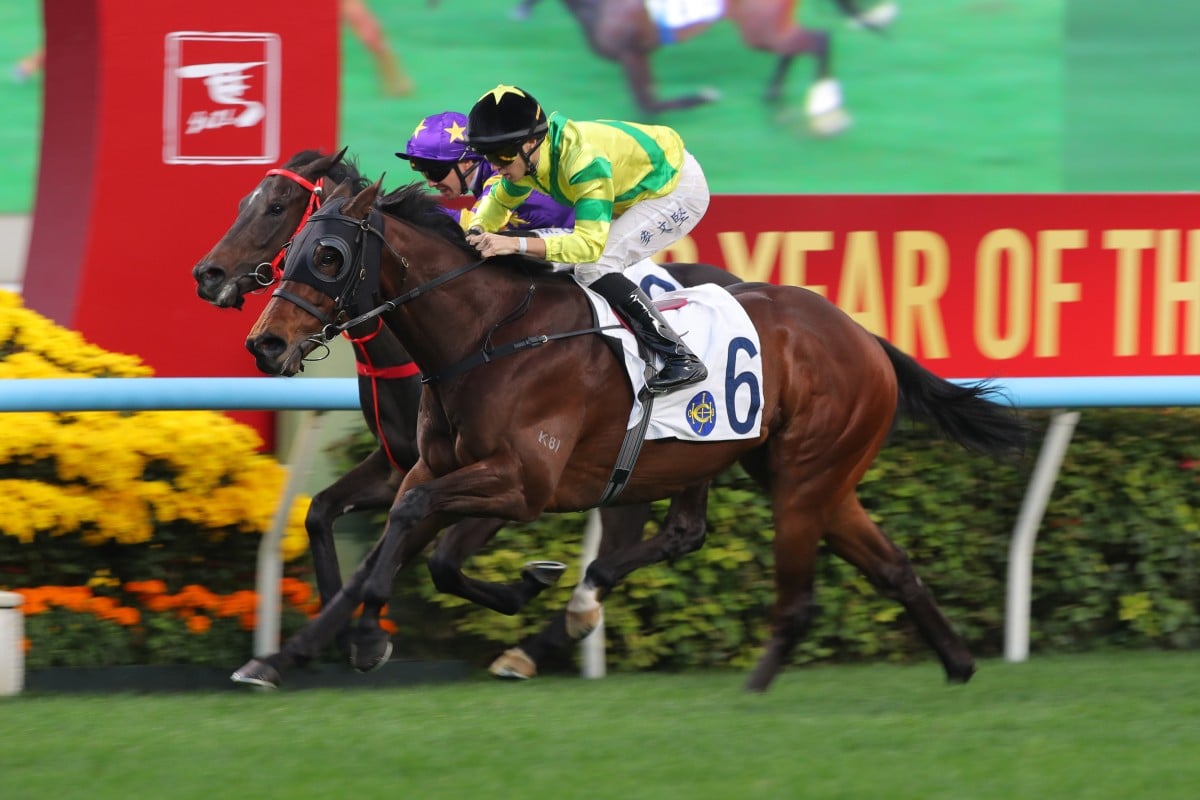 Riding Together scores at Sha Tin ridden by Dylan Browne McMonagle. Photos: Kenneth Chan
