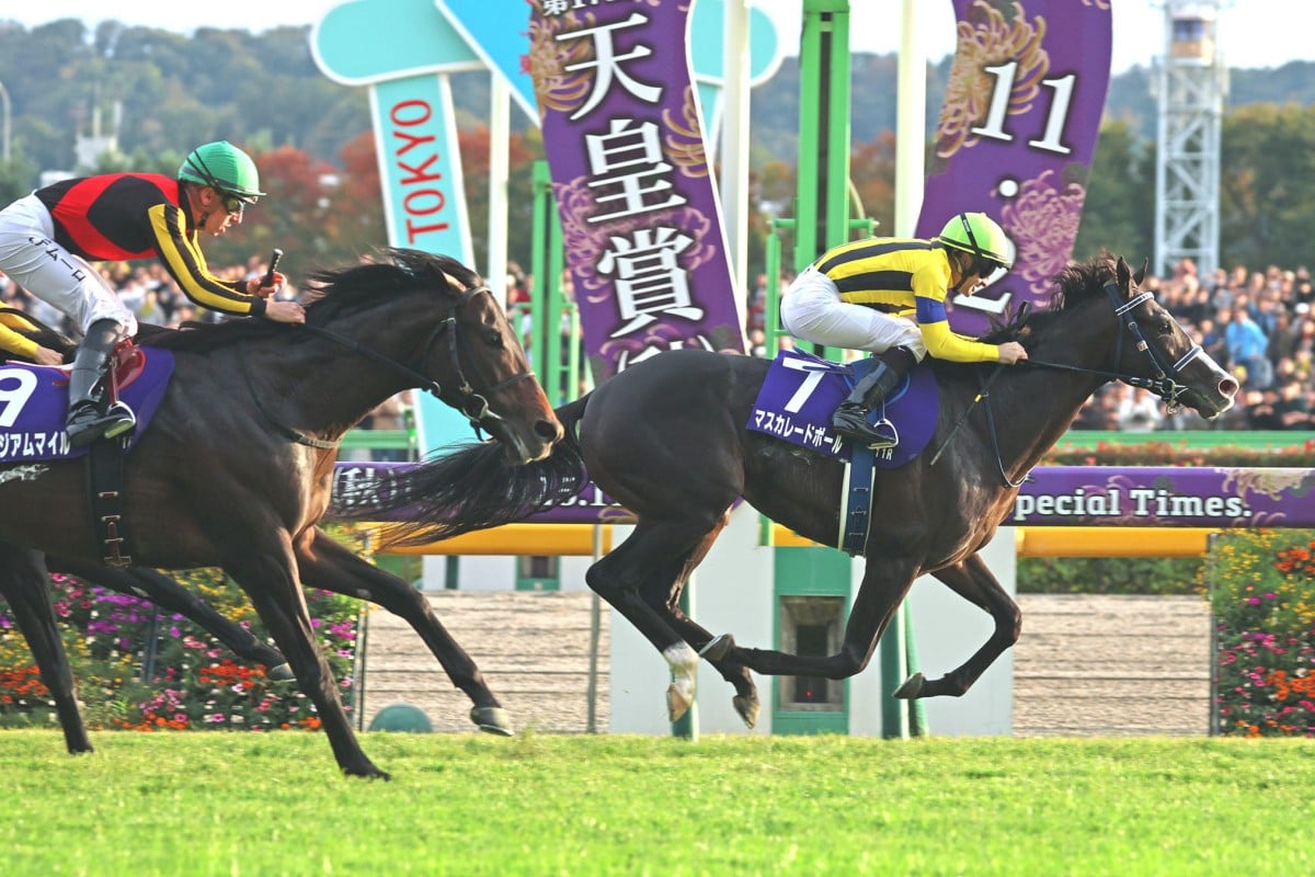 Masquerade Ball is a likely QE II Cup starter at Sha Tin next month. Photo: JRA