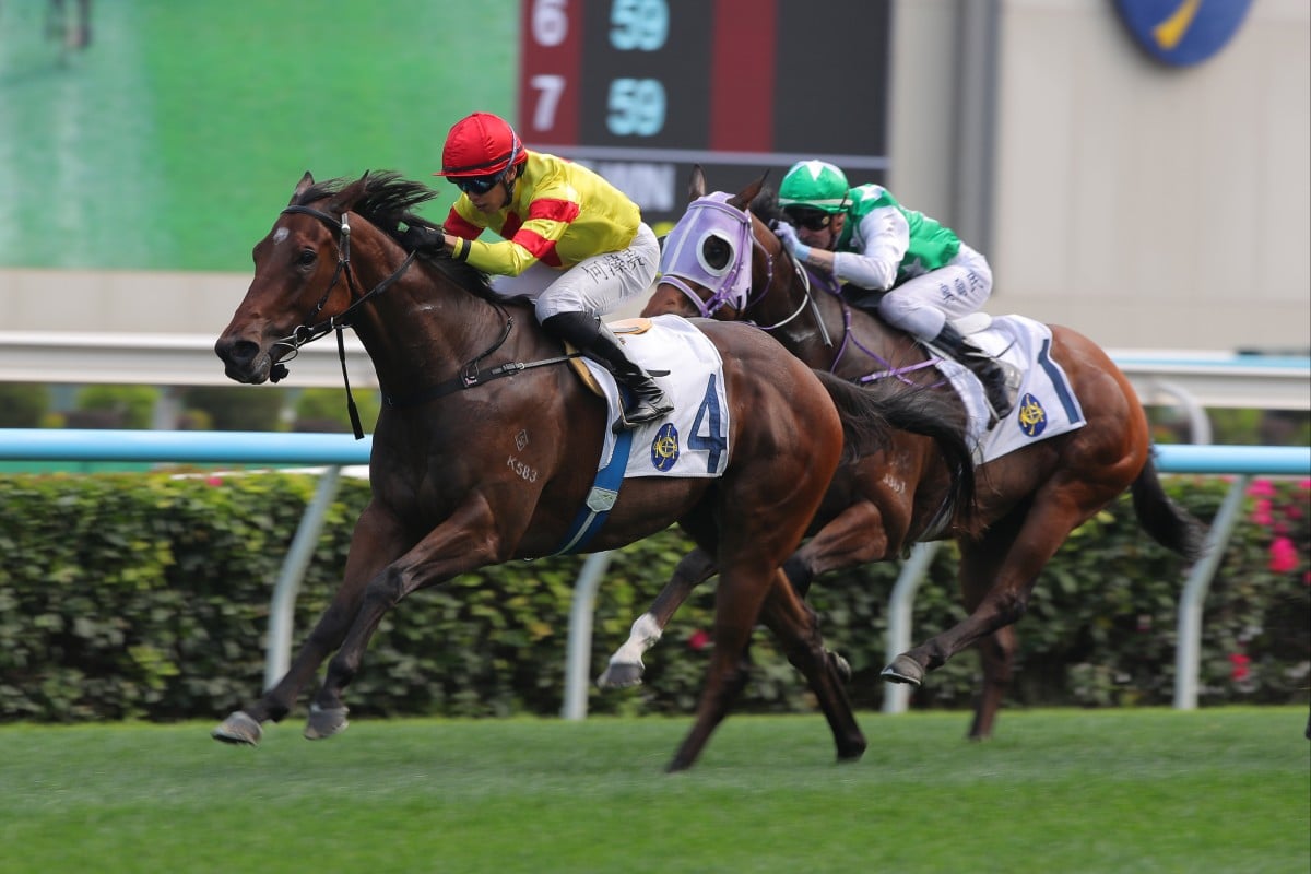 Hot Delight and Vincent Ho triumph at Sha Tin. Photos: Kenneth Chan.