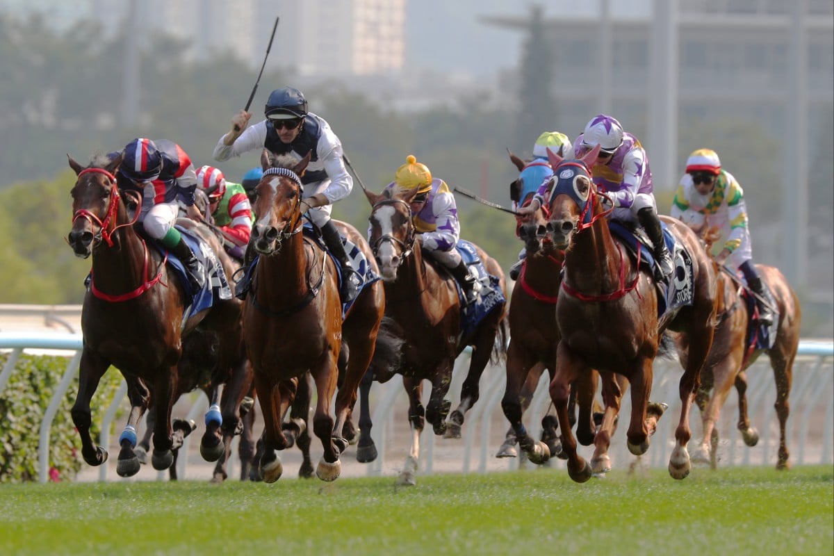 Numbers (inside) and Stormy Grove (outside) fill the placings behind Invincible Ibis in the Derby. Photos: Kenneth Chan