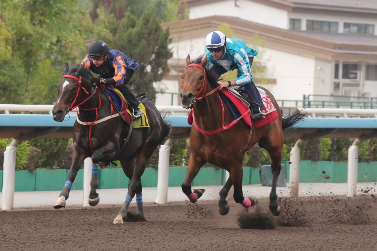 Romantic Warrior (outside) surges past Red Lion to win a dirt trial. Photos: Kenneth Chan