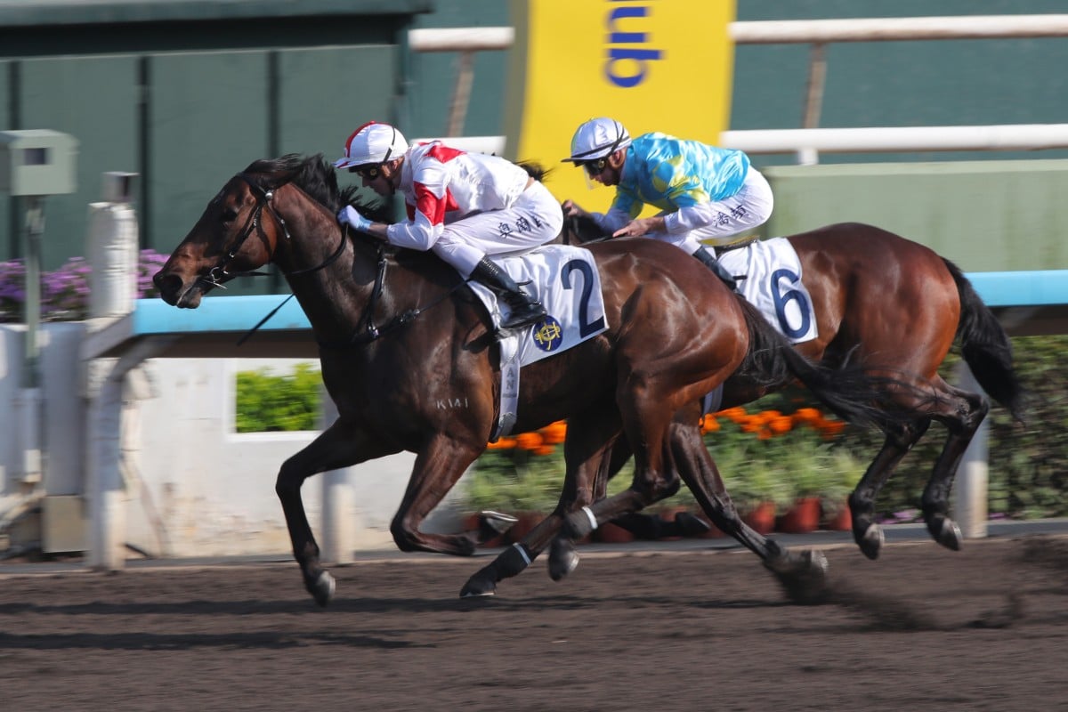 Magnifique and James Orman win a strong Class Three at Sha Tin. Photos: Kenneth Chan