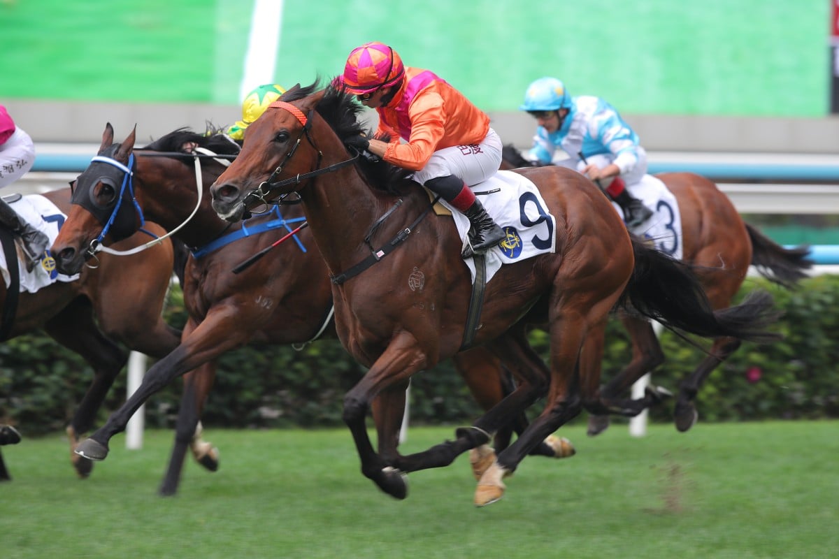Max Que, ridden by Alexis Badel, highlights Mark Newnham’s treble at Sha Tin. Photos: Kenneth Chan