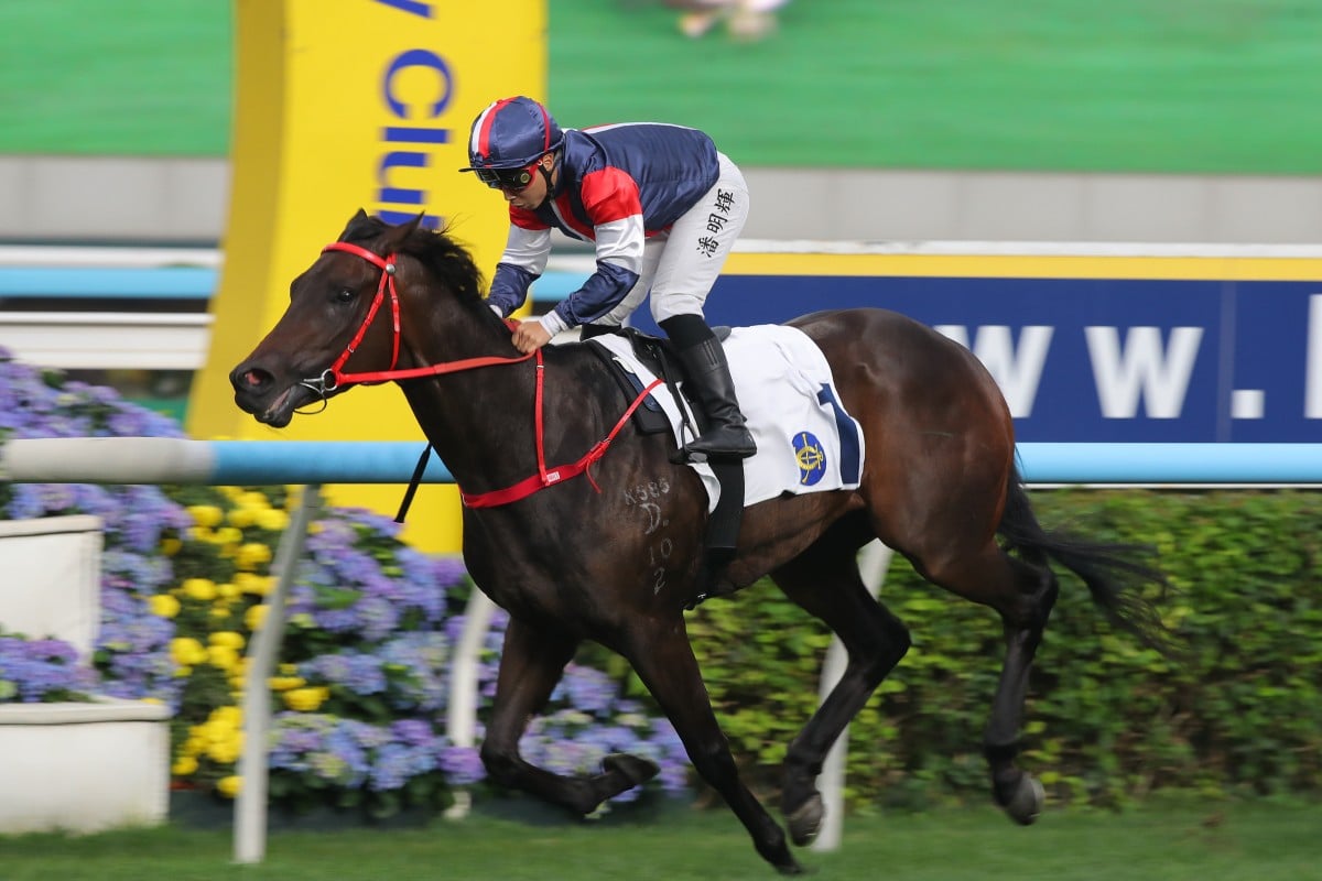 Matthew Poon guides the unbeaten Salon S to victory at Sha Tin. Photos: Kenneth Chan