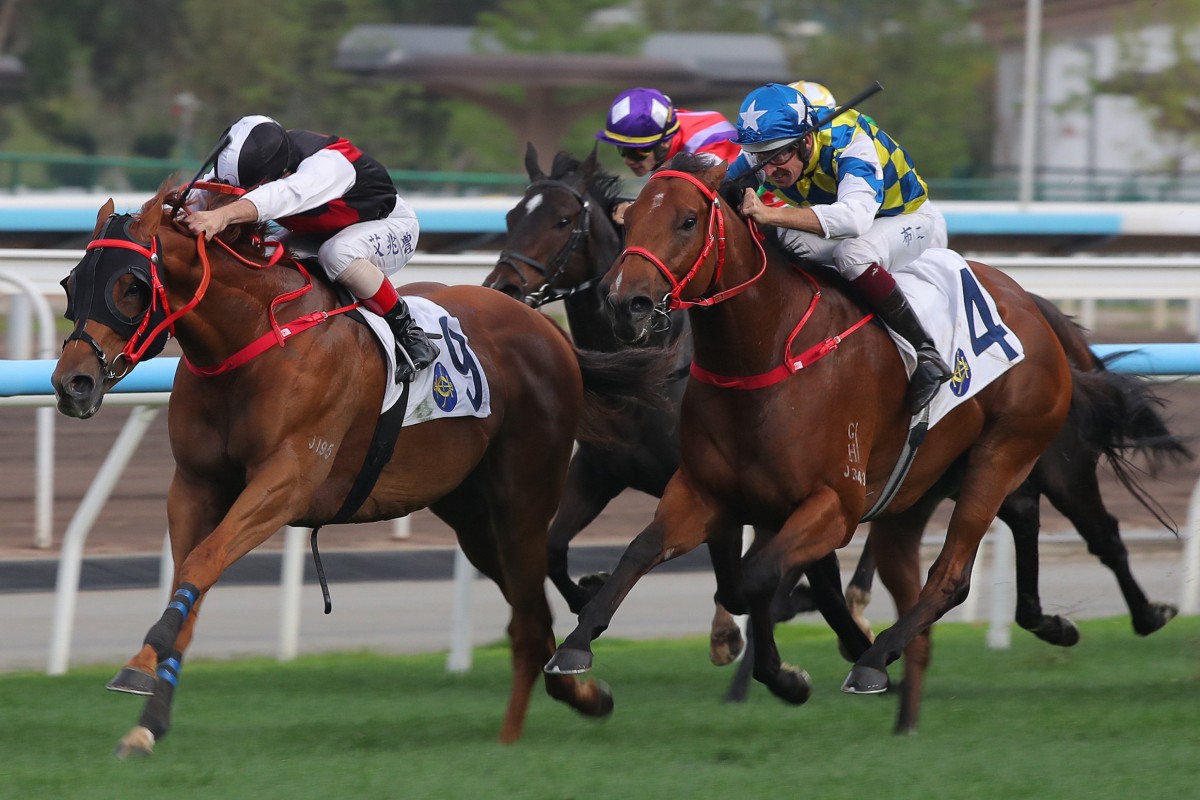 Andrea Atzeni and Young Champion win at Sha Tin. Photos: Kenneth Chan