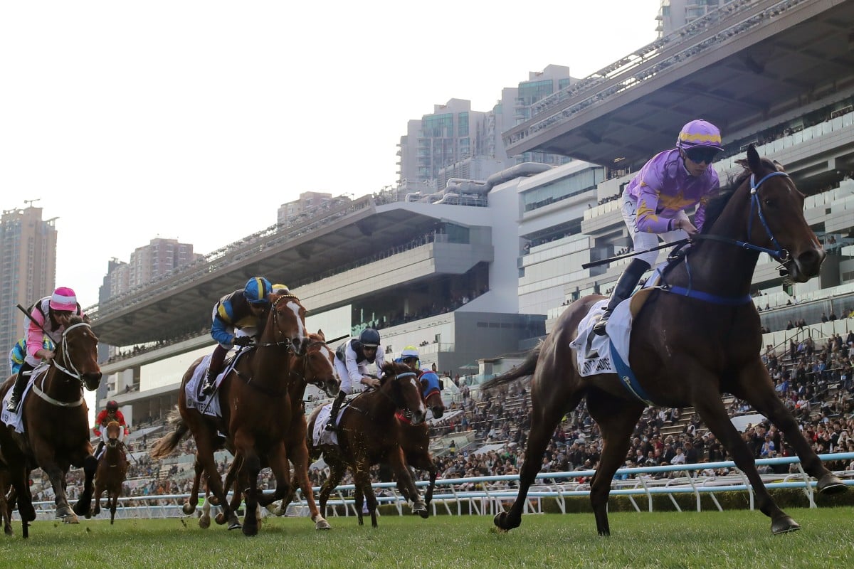 Vincent Ho guides Little Paradise to victory in the Classic Mile. Photos: Kenneth Chan