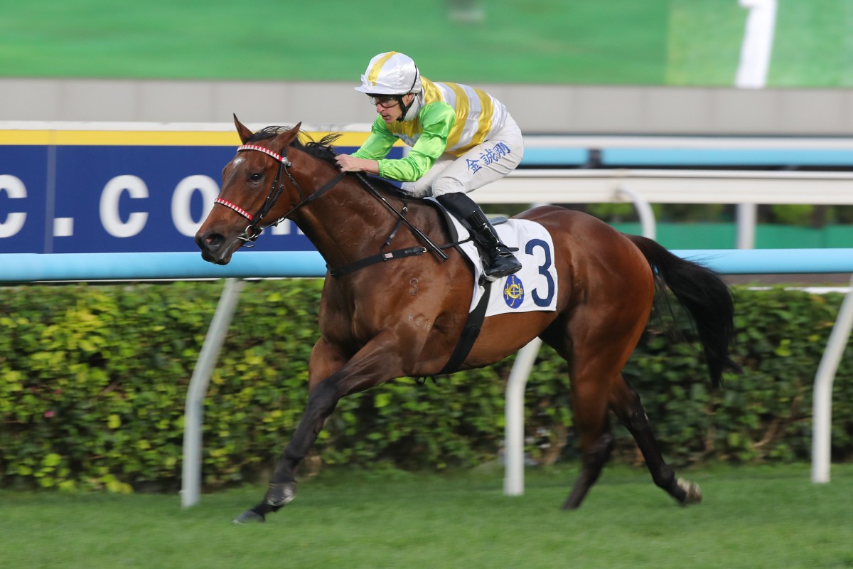 Richard Kingscote guides Rising Force to victory last month. Photos: Kenneth Chan