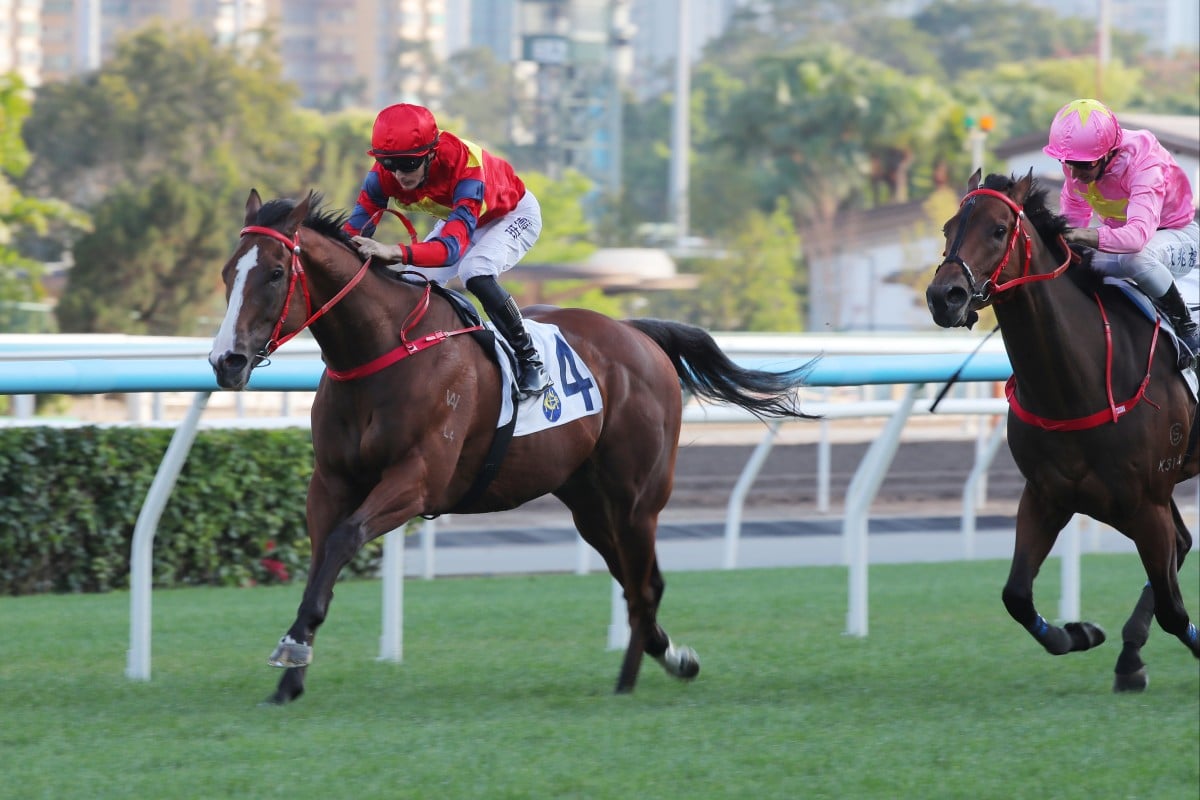 Smart Golf, ridden by Harry Bentley, makes it three wins from five starts at Sha Tin. Photos: Kenneth Chan.