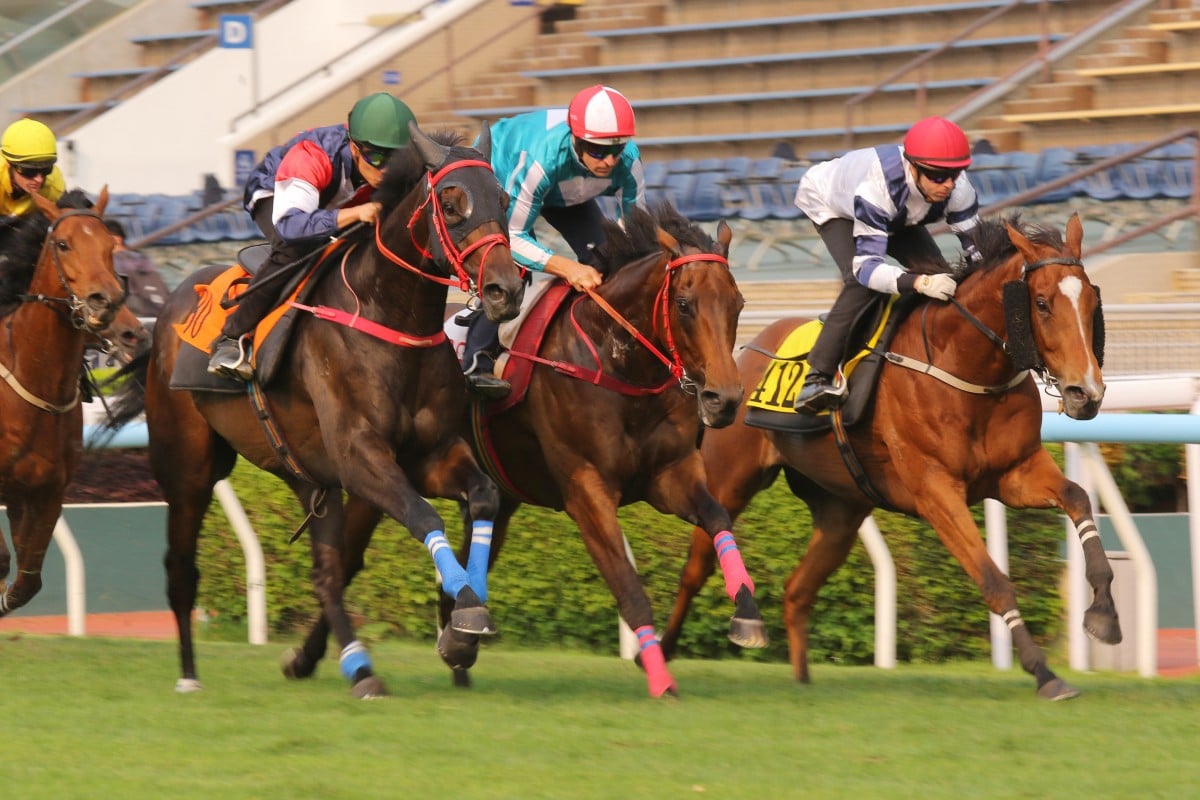 Romantic Warrior (centre), Numbers (left) and Rubylot (right) trial at Sha Tin. Photos: Kenneth Chan.