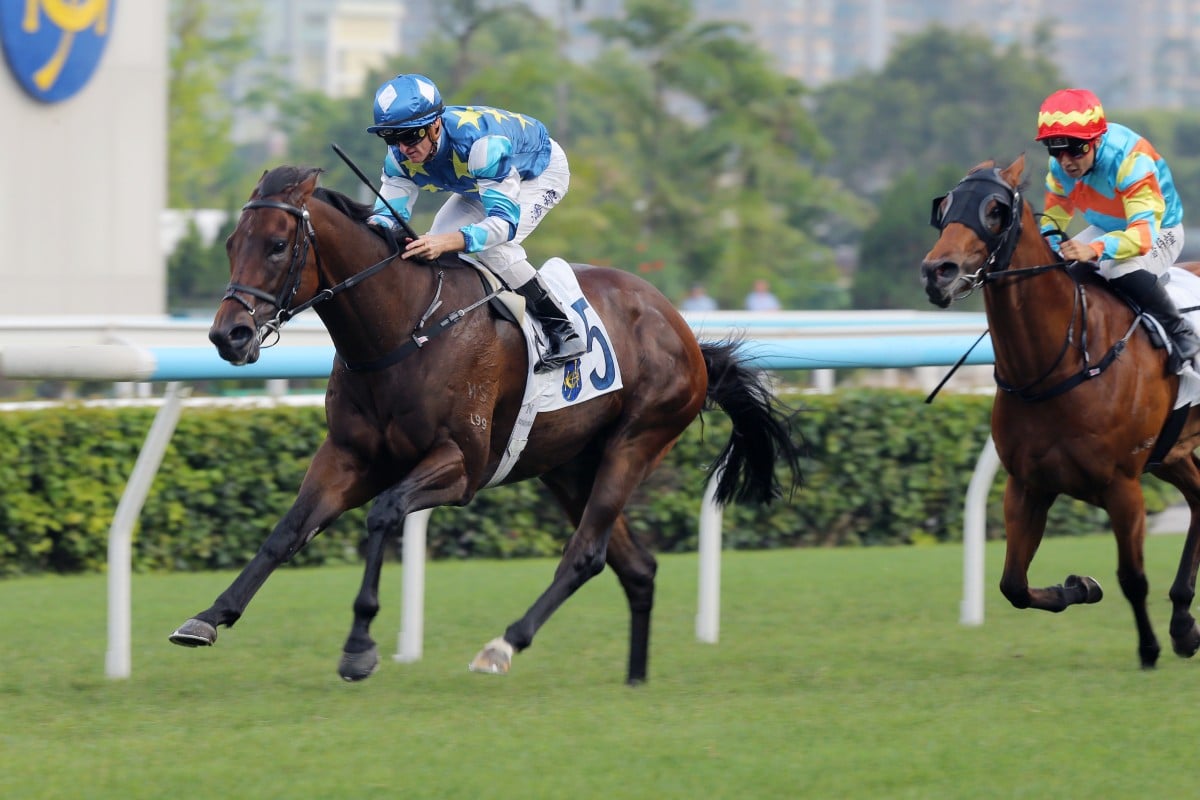 Gold Patch gives Zac Purton 100 wins for the season at Sha Tin. Photos: Kenneth Chan