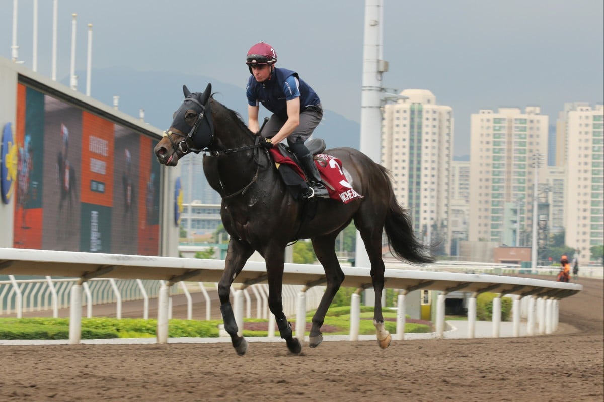 Comanche Brave gallops at Sha Tin on Tuesday. Photos: Kenneth Chan