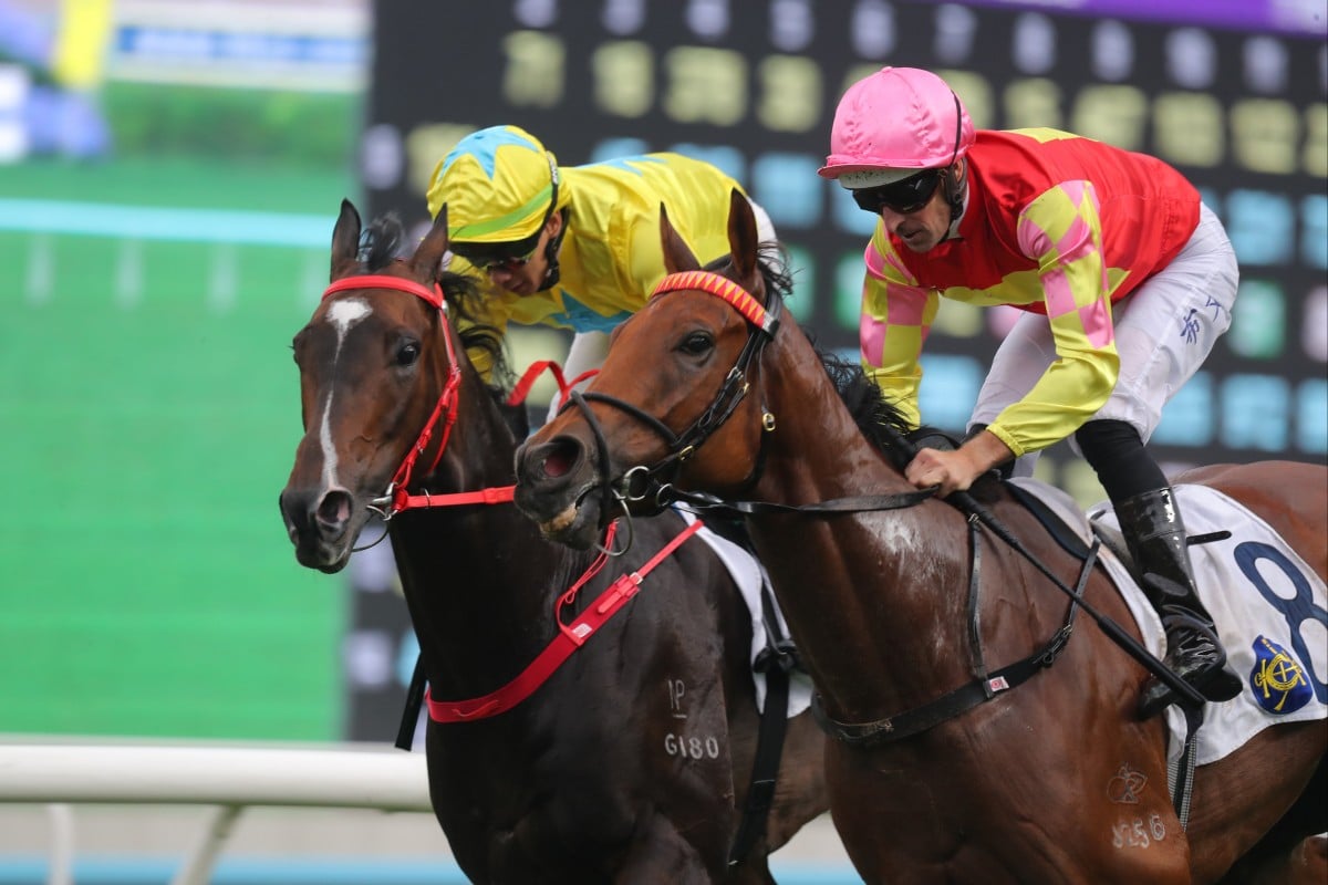 My Wish (outside) runs second to Lucky Sweynesse last start. Photos: Kenneth Chan