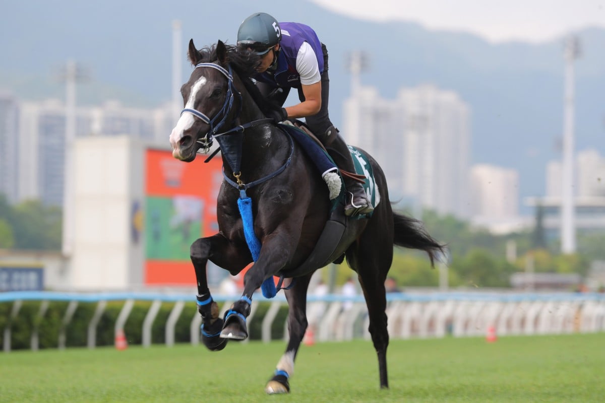 QEII Cup runner, Masquerade Ball, stretches out at Sha Tin. Photos: Kenneth Chan