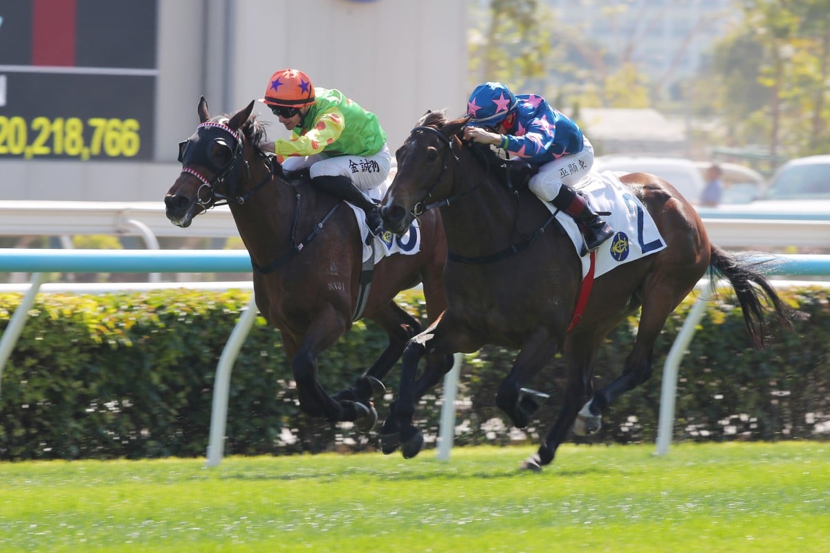 Winning Wing (outside), ridden by Dylan Mo, wins at Sha Tin. Photos: Kenneth Chan