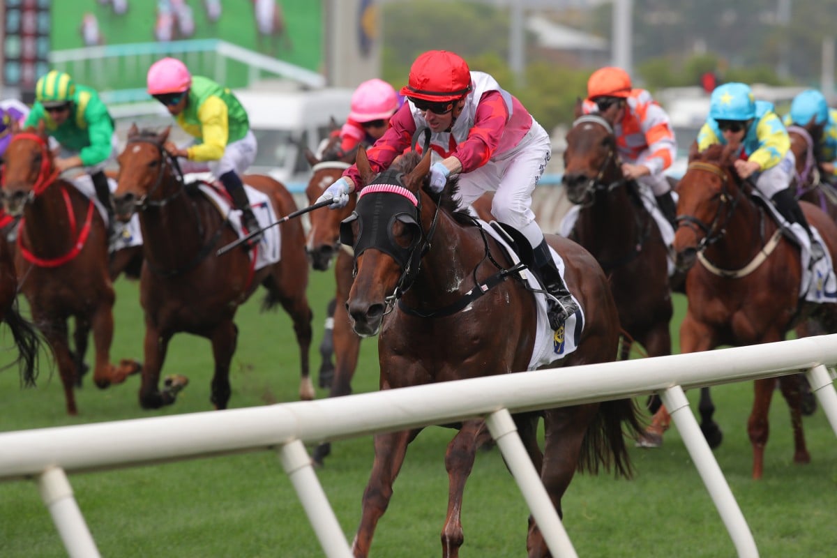 James Orman guides Ever Luck to victory last start. Photos: Kenneth Chan