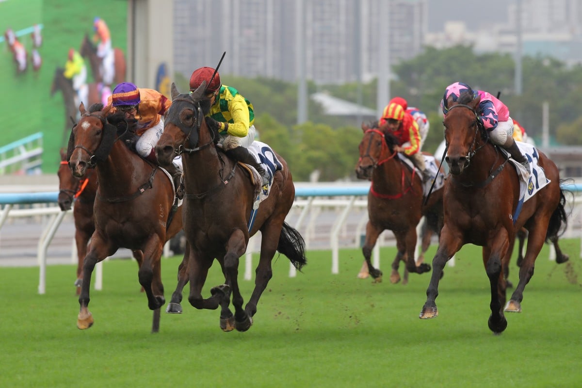 Thunder Kit and Vincent Ho win at Sha Tin. Photos: Kenneth Chan