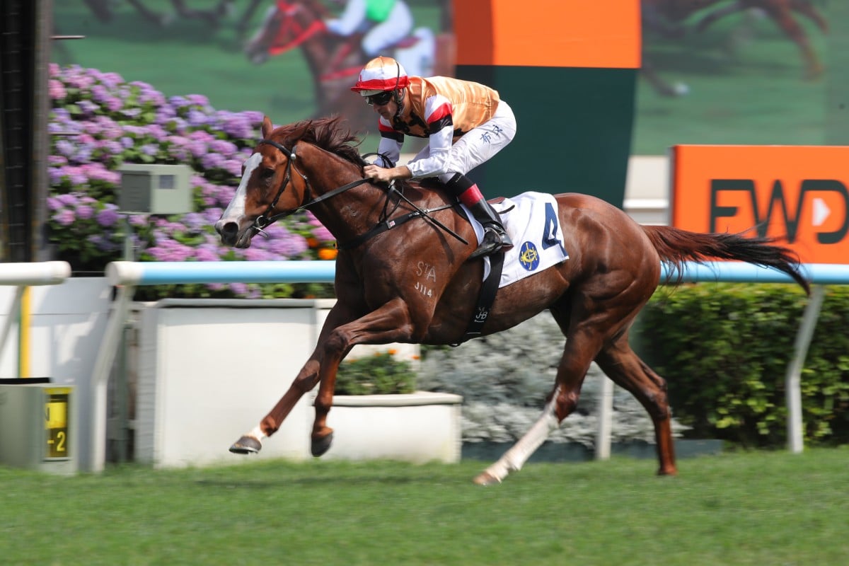 Geneva, ridden by Hugh Bowman, wins at Sha Tin. Photos: Kenneth Chan