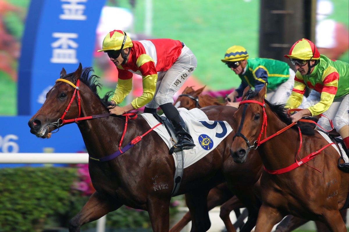 Emblazon, ridden by Jerry Chau, wins at Sha Tin. Photos: Kenneth Chan