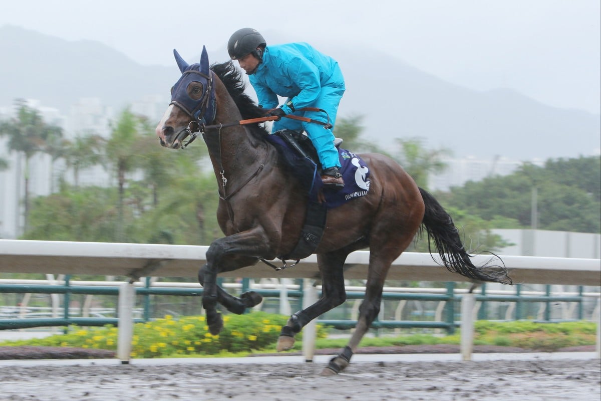 Rousham Park gallops on the Sha Tin dirt earlier this week. Photos: Kenneth Chan