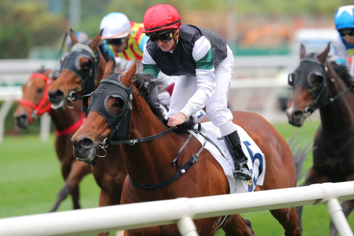 La Forza, ridden by Zac Purton, wins at Sha Tin. Photos: Kenneth Chan