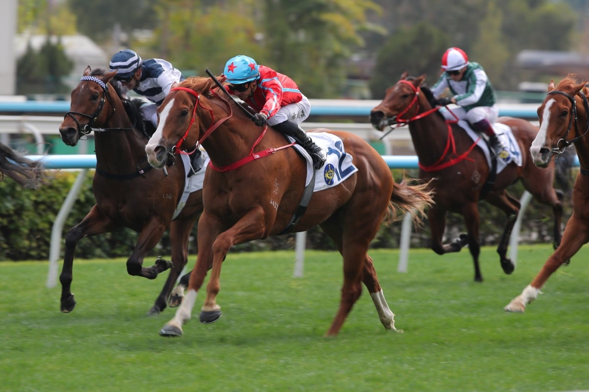Happy Shooter, ridden by Lyle Hewitson, wins at Sha Tin. Photos: Kenneth Chan.