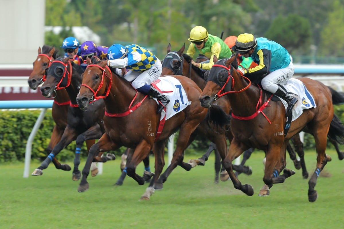 Patch Of Stars (blue cap, white stars) wins at Sha Tin. Photos: Kenneth Chan