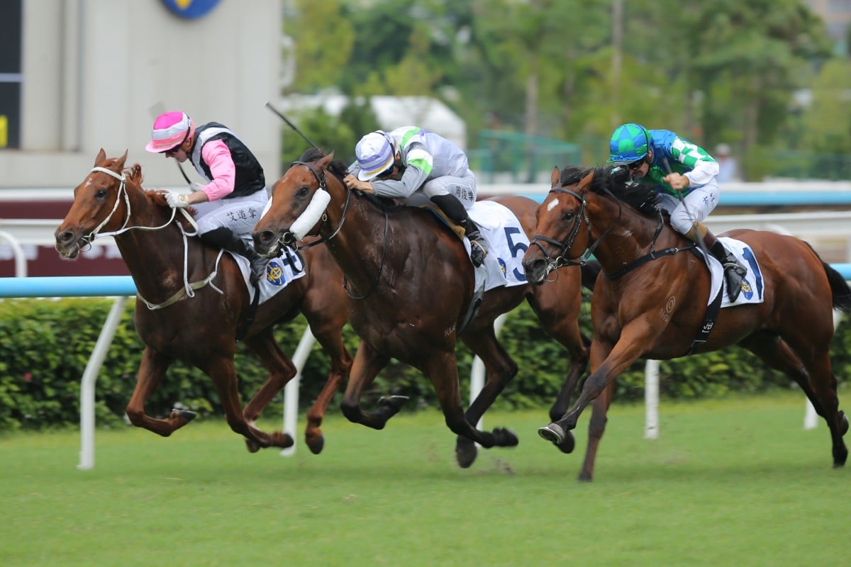 Light Years Charm (centre), ridden by Jerry Chau, wins the Lion rock Trophy at Sha Tin. Photos: Kenneth Chan