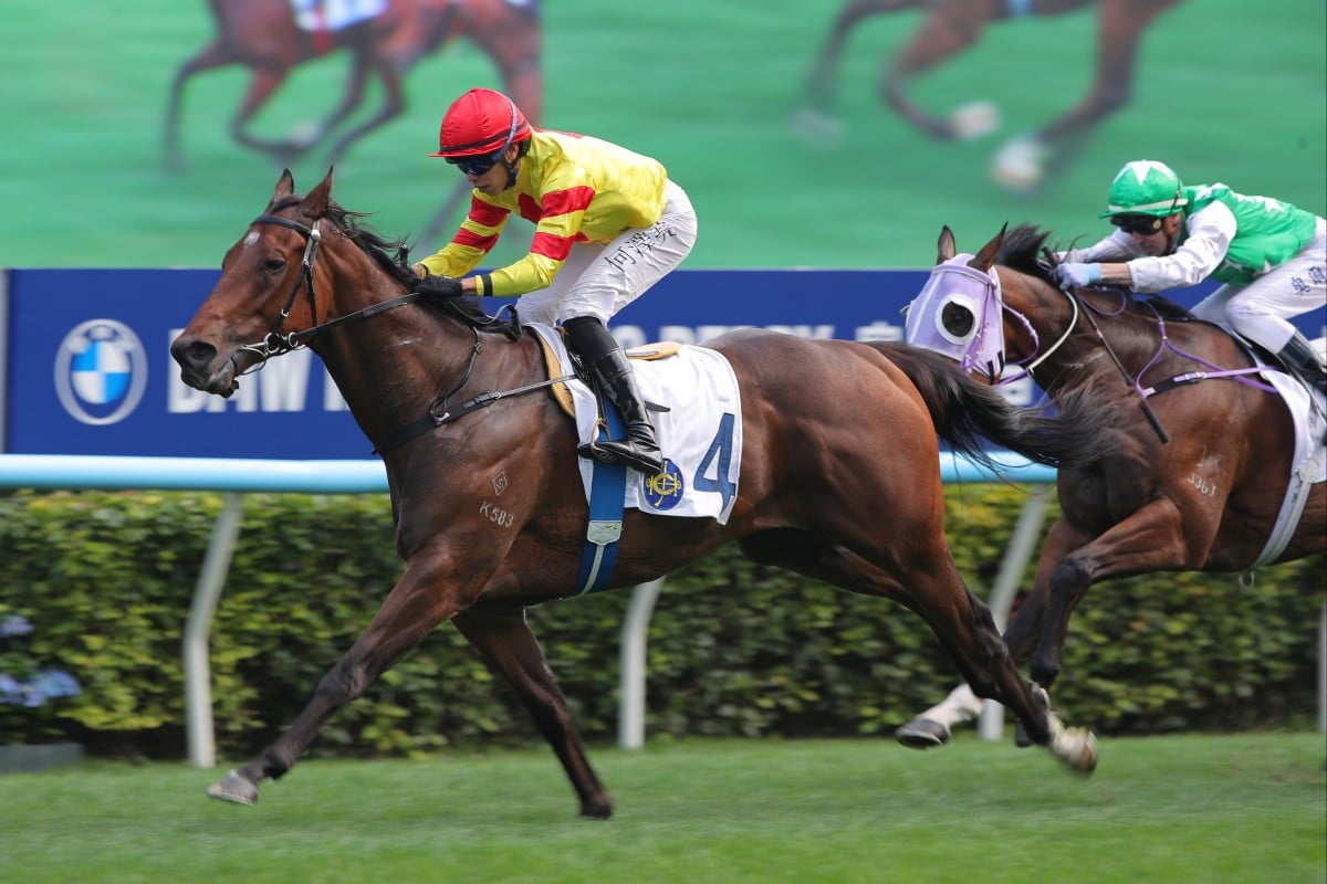 Hot Delight notches his third straight win under Vincent Ho in March. Photos: Kenneth Chan
