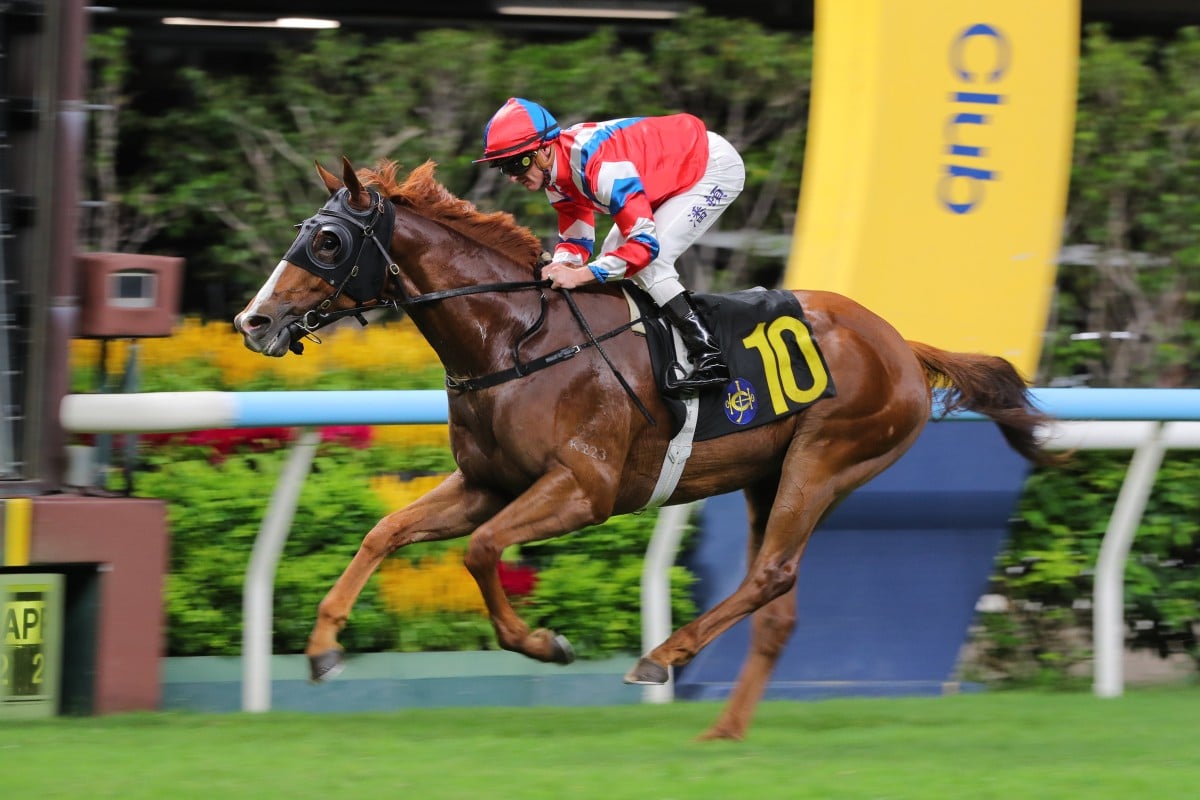 Vivacious Win, ridden by Zac Purton, scores at Happy Valley. Photos: Kenneth Chan