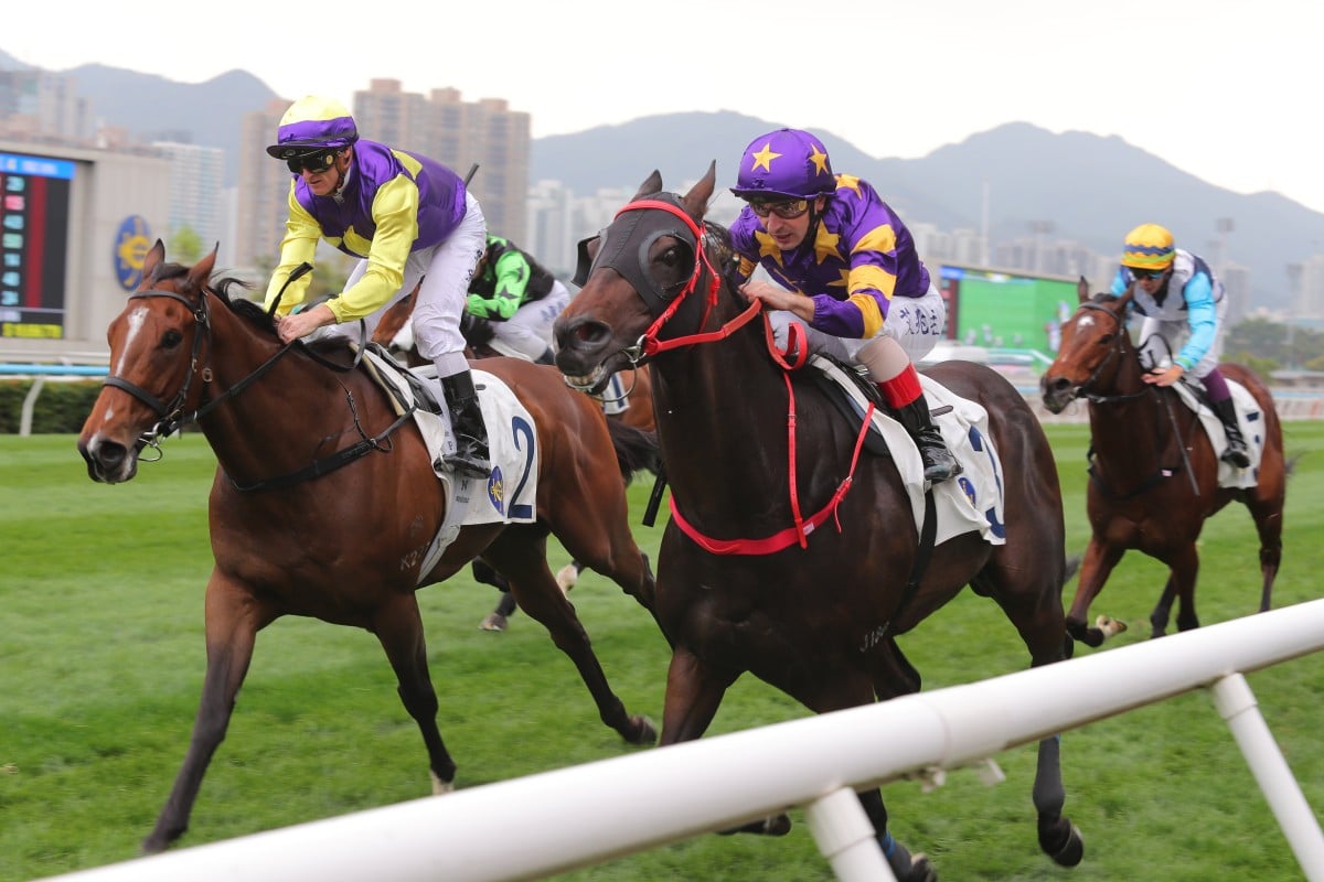 Stellar Express (near) wins at Sha Tin. Photos: Kenneth Chan
