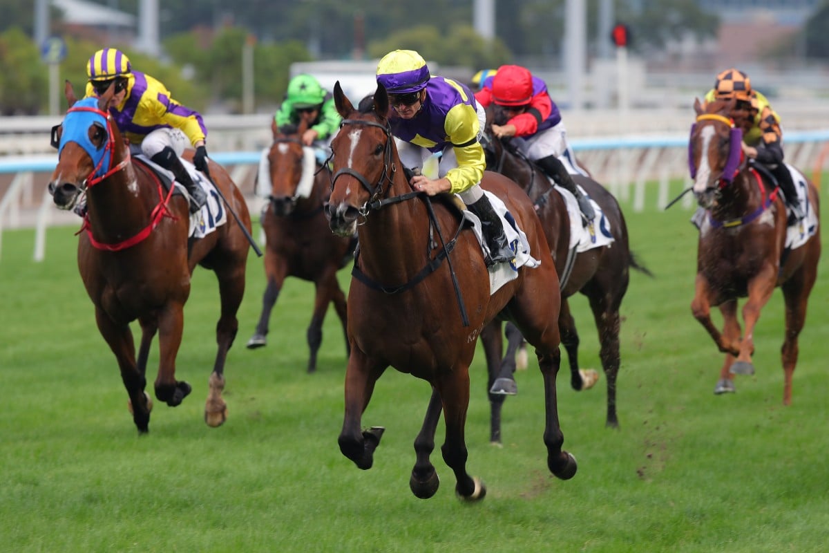 Colourful King wins up the Sha Tin straight in November. Photos: Kenneth Chan