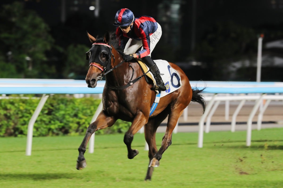 Victor Supreme, ridden by Vincent Ho, triumphs at Sha Tin. Photos: Kenneth Chan