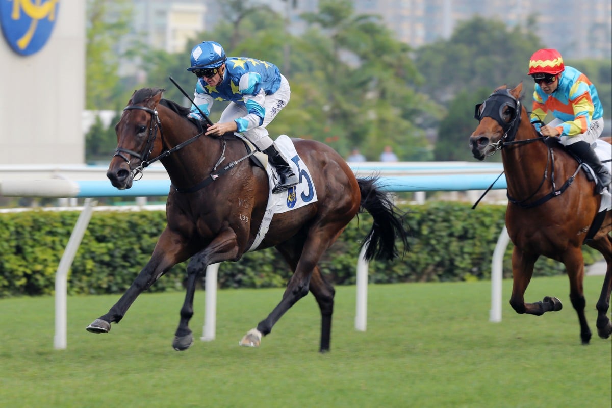 Gold Patch scores under Zac Purton at Sha Tin in April. Photos: Kenneth Chan
