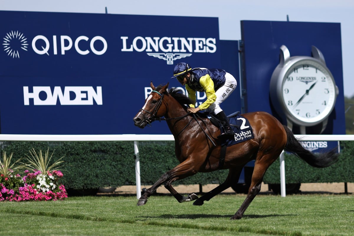 Jerry Chau Chun-lok guides Tuco Salamanca to success in the Shergar Cup Dash. Photo: Handout
