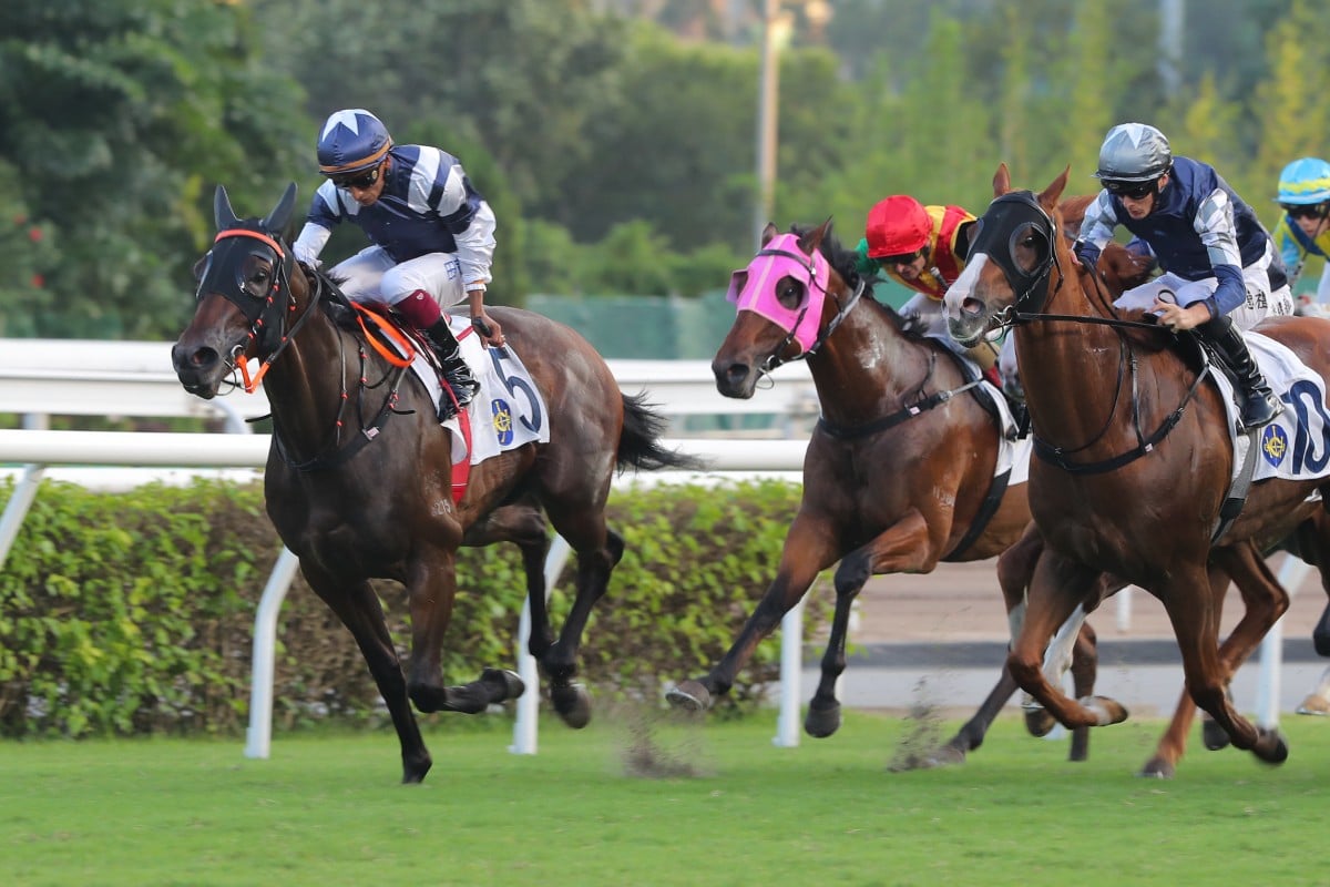 Lucy In The Sky wins at Sha Tin in 2024. Photos: Kenneth Chan