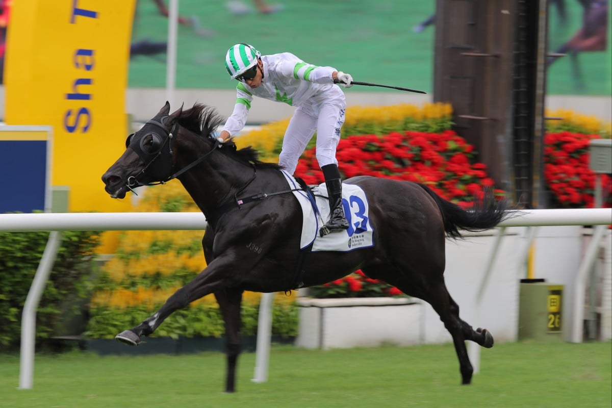Luck Is Back and Ellis Wong salute at Sha Tin. Photos: Kenneth Chan