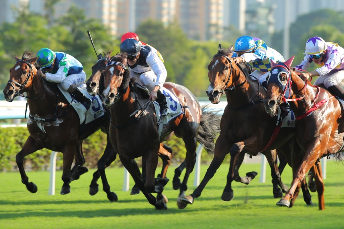 Luke Ferraris lifts Invincible Ibis (centre) to victory in the Celebration Cup. Photos: Kenneth Chan