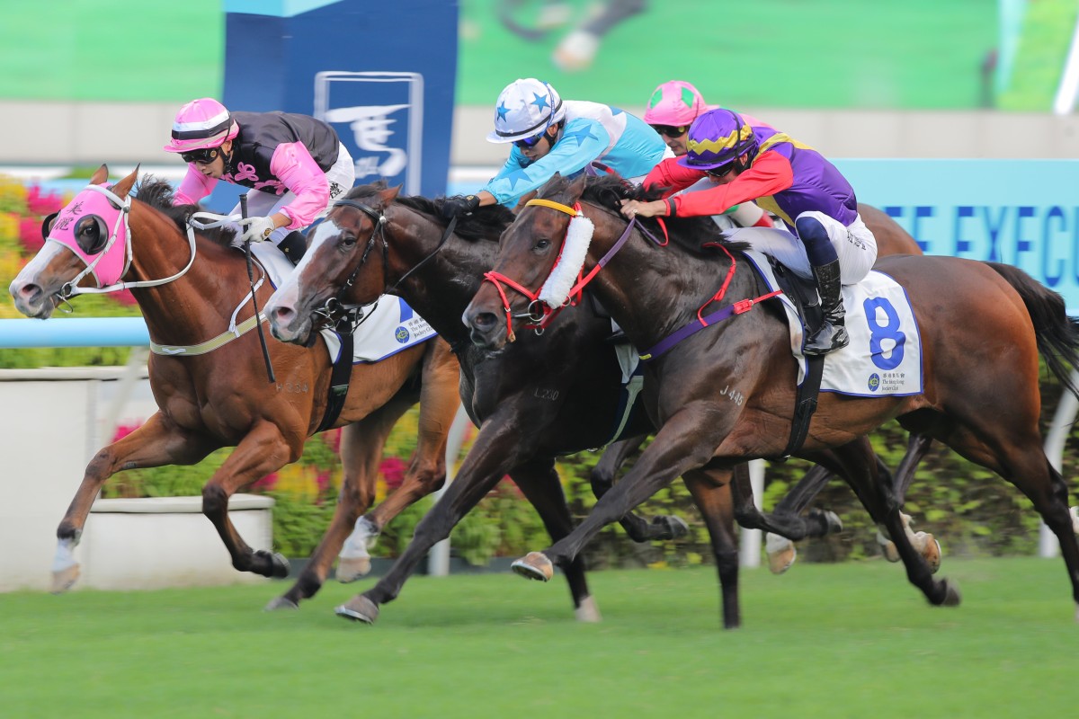 Who wins at Sha Tin? Baby Sakura can blossom on the path to Classic ...