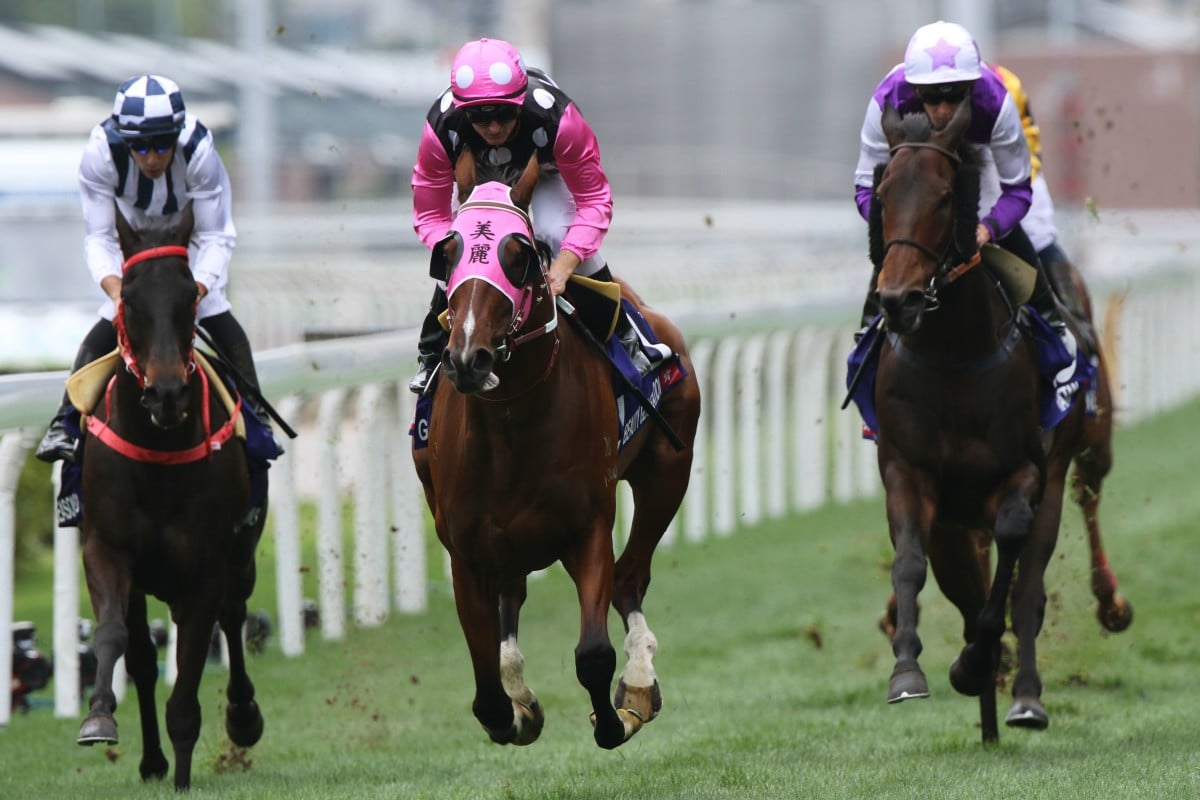 Beauty Generation headlines Hong Kong’s Champions Day entries. Photos: Kenneth Chan