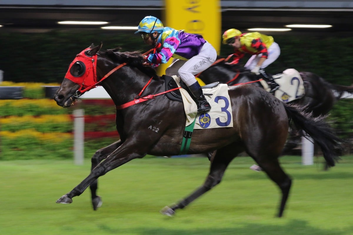 Most Beautiful becomes the first horse trained in Conghua to win in Hong Kong. Photos: Kenneth Chan