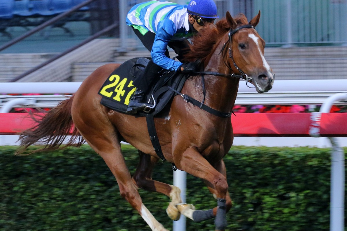 Jockey Karis Teetan sits quietly on Voyage Warrior in his most recent trial on the Sha Tin turf. Photos: Kenneth Chan.